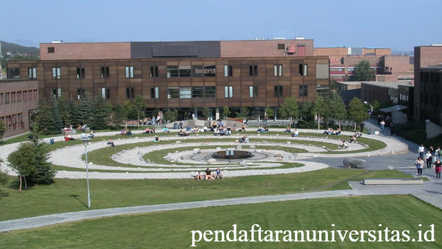 University of Tromsø: Pusat Ilmu Pengetahuan di Norwegia